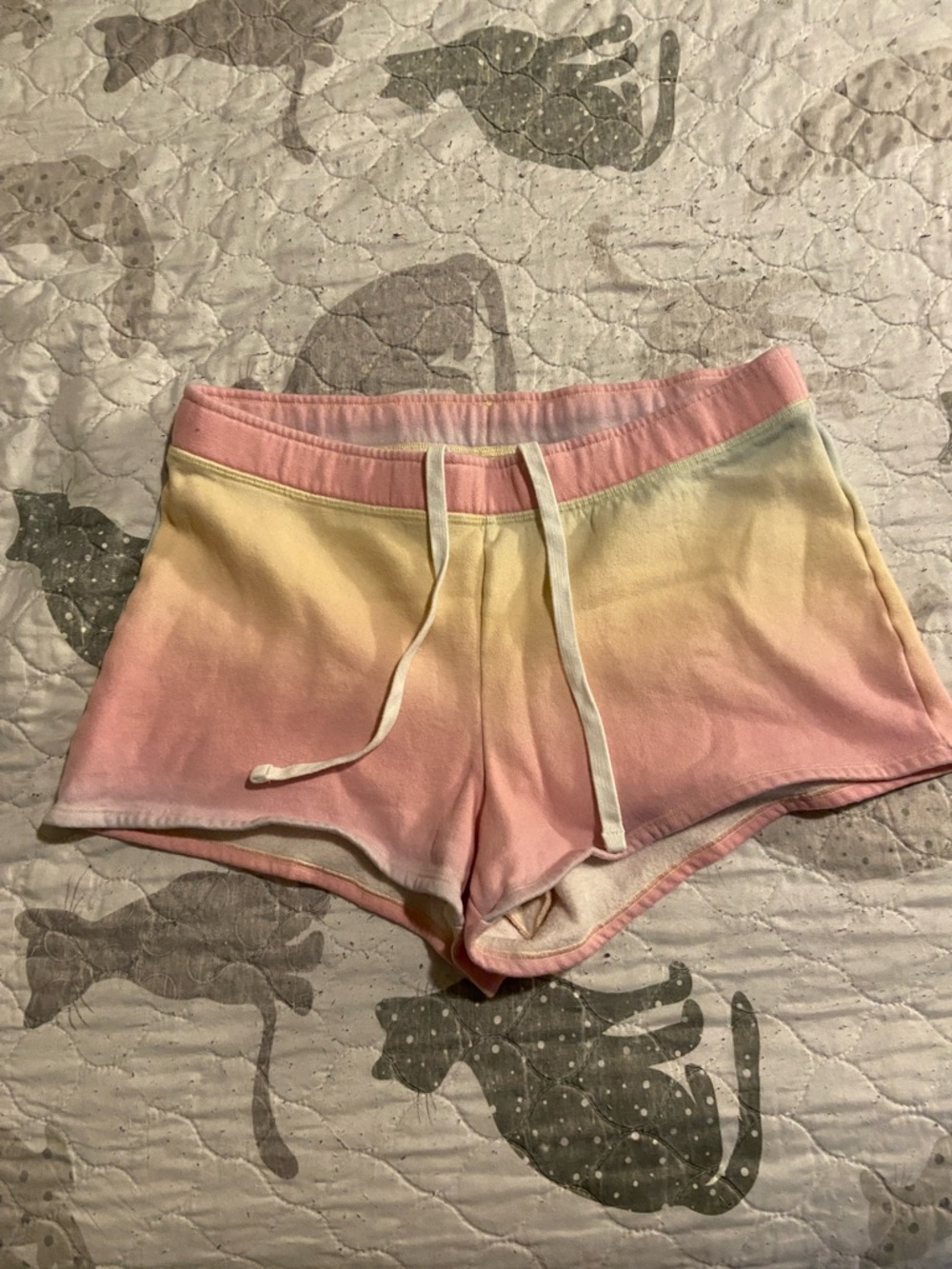 Hollister Rainbow Shorts